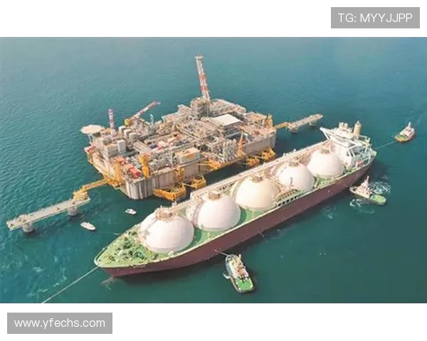 独家深度解析LNG市场意识对比及其未来发展趋势